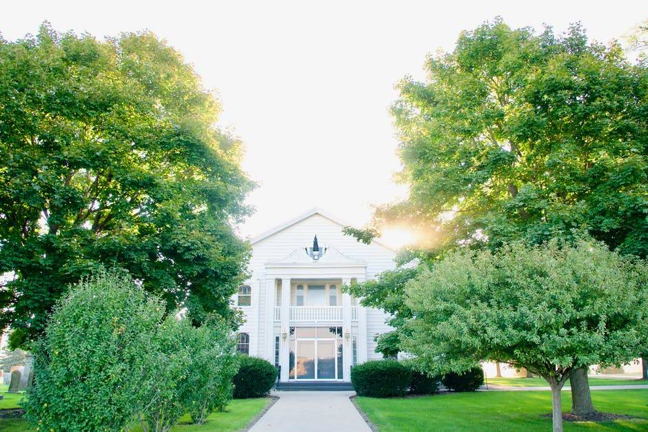 green single family home